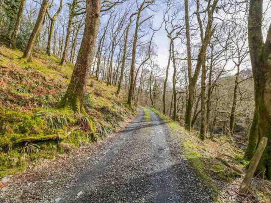 Pandy Farmhouse - Panoramic Mountain Views Within Snowdonia'S National Park - 4X4 Recommended ドルゲラウ エクステリア 写真