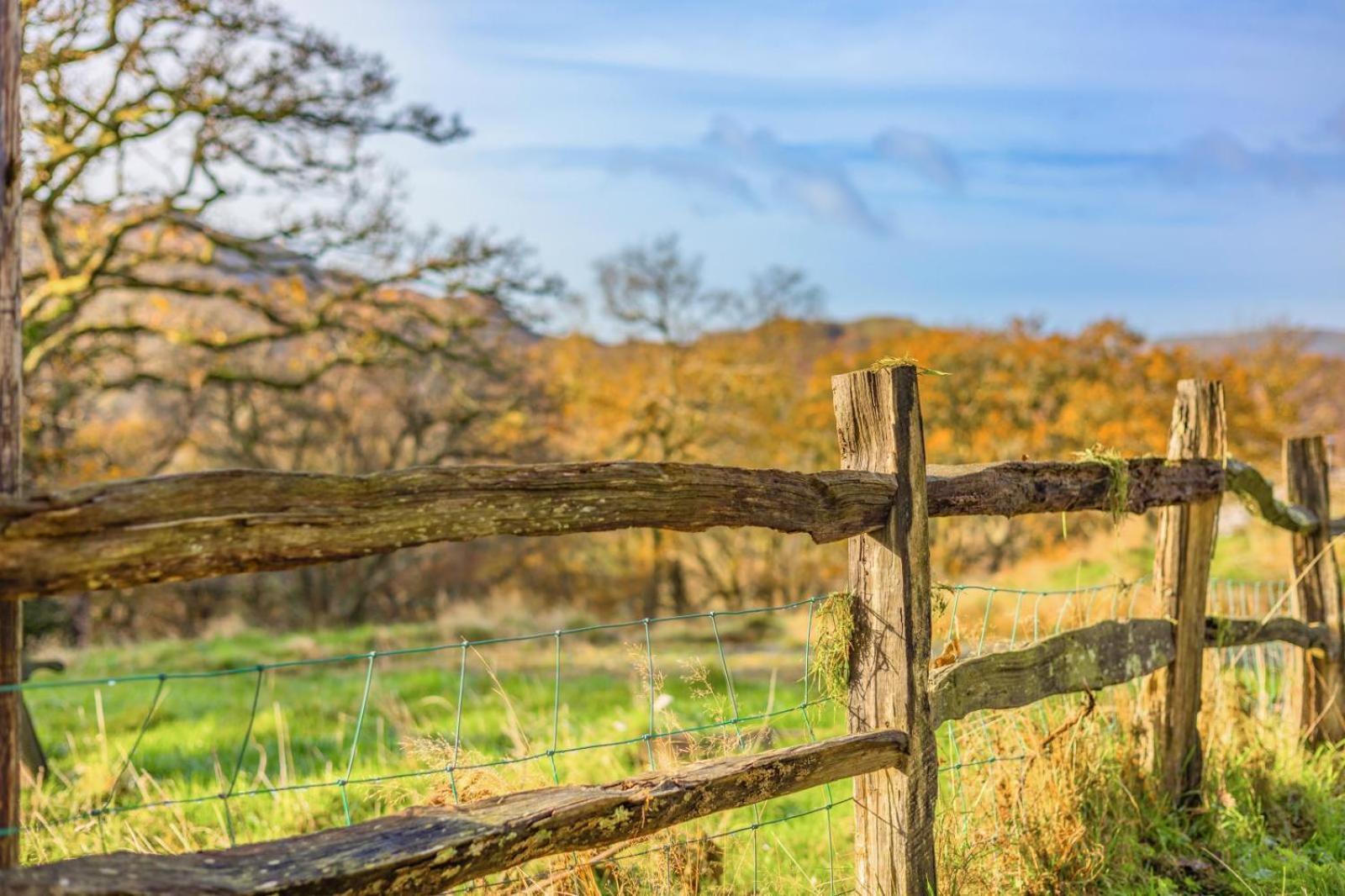 Pandy Farmhouse - Panoramic Mountain Views Within Snowdonia'S National Park - 4X4 Recommended ドルゲラウ エクステリア 写真
